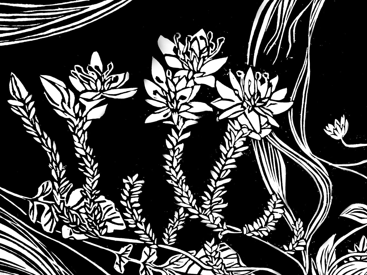 Ophelia | Original Linocut Print | Botanical Femenine Black & White Hand-pulled | Wall Art Decor